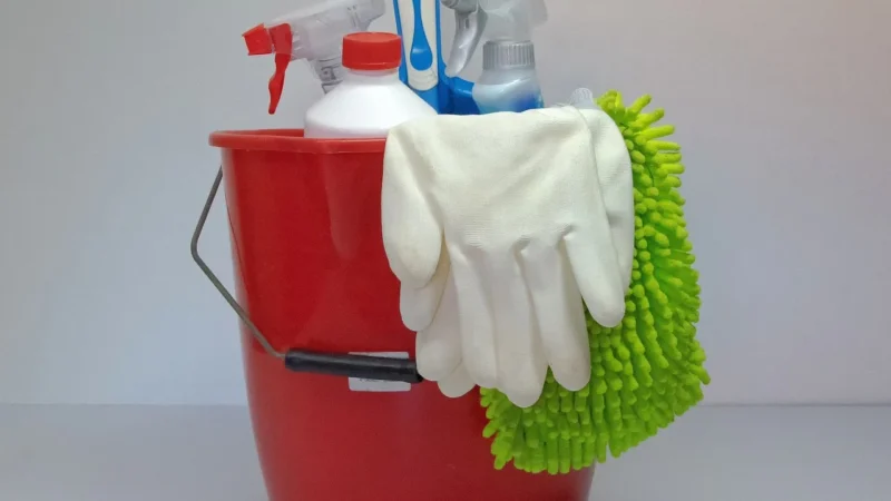 Idealne środki czystości do domu z Fresh and Clean